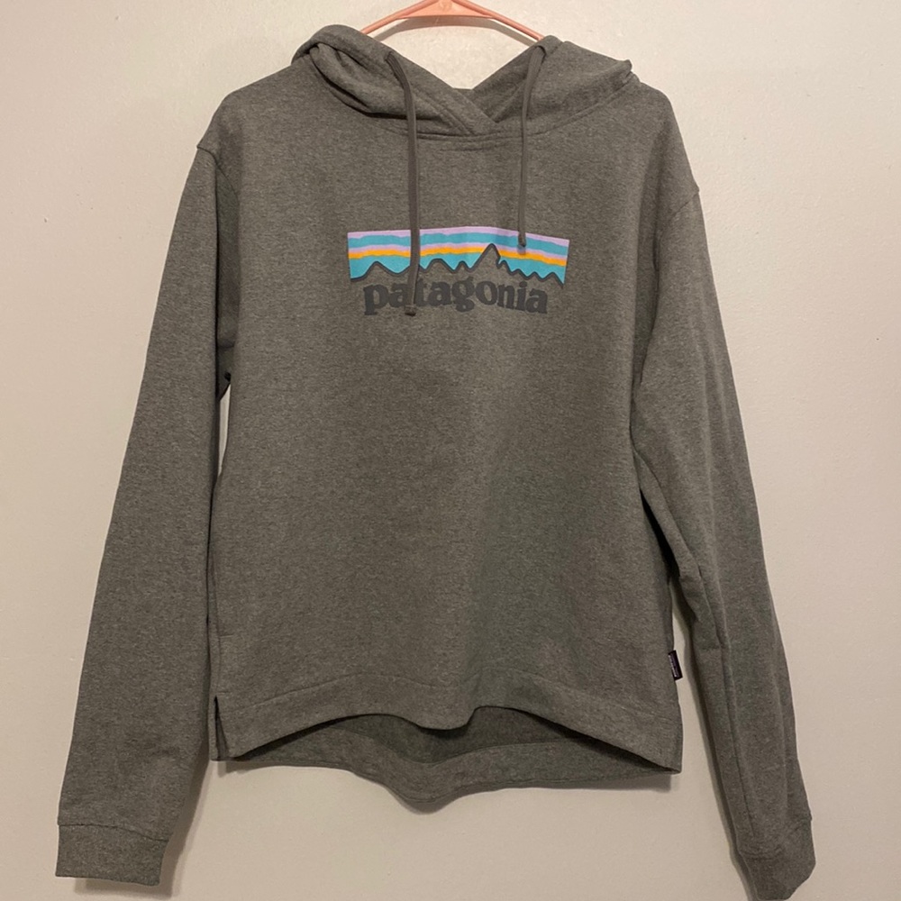 Patagonia Large Gray Hoodie